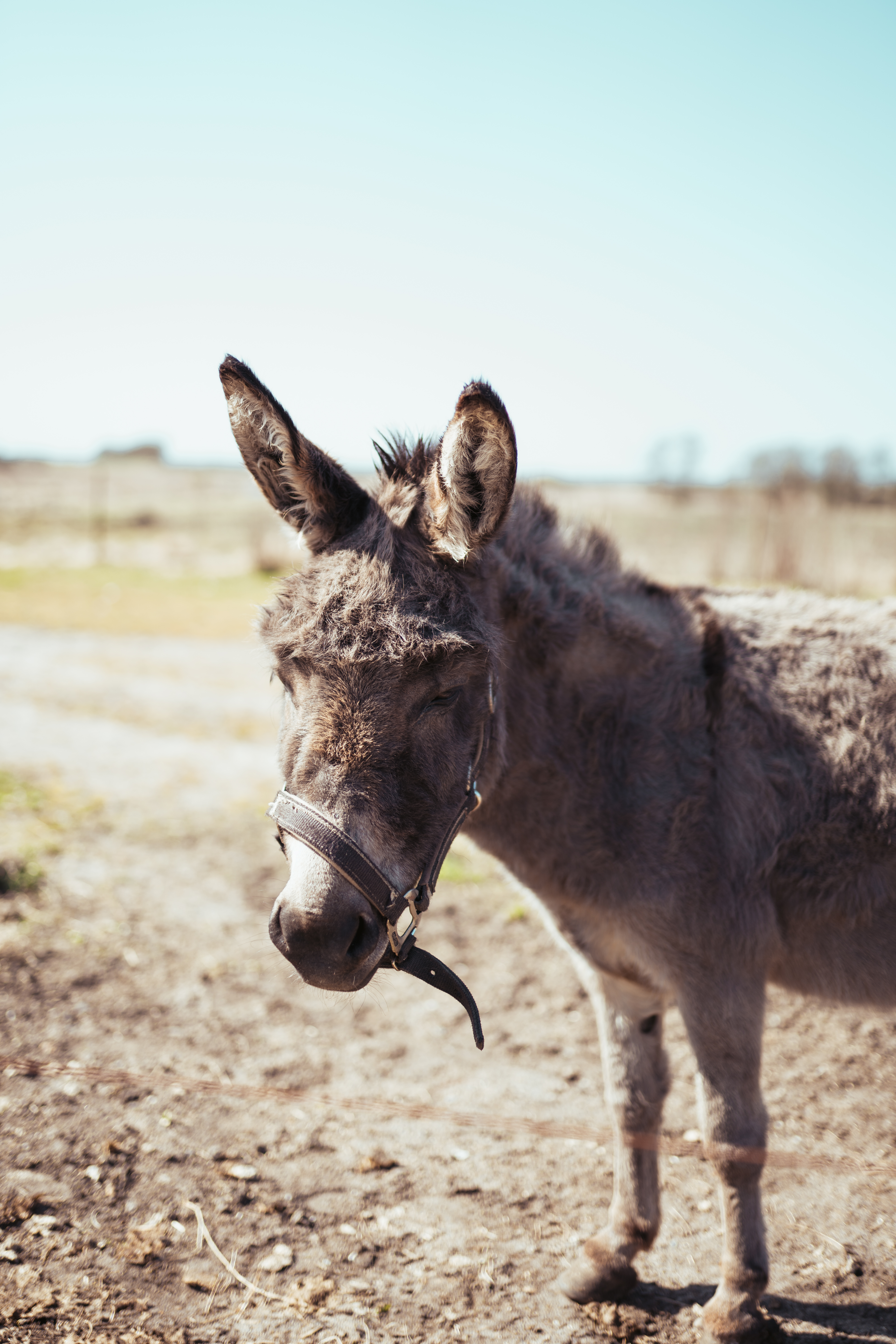 Mejlbyefterskole2021 02532
